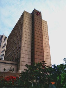 城市中的高大建筑景观