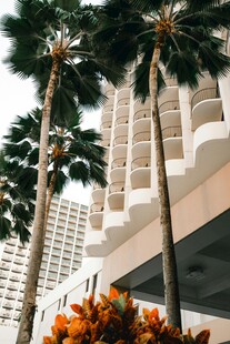 城市中的棕榈树与建筑景观