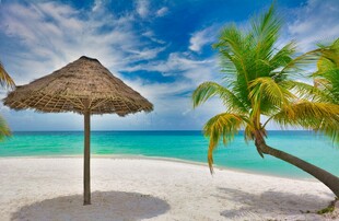 热带海滩遮阳伞与棕榈树