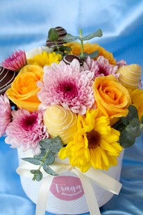 多彩鲜花盆栽装点美好