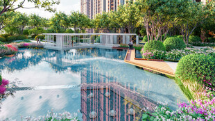 精致园林景观中的水景桥