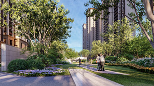 城市林荫步道景观