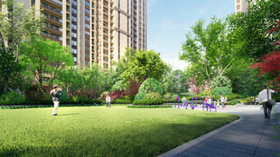 城市中的惬意公园生活场景