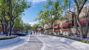 城市街道绿树成荫景观美