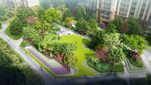 城市中的美丽绿化景观