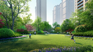 城市中的惬意绿色公园