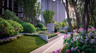 城市中的静谧花园景观