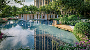 现代园林景观中的静谧水池