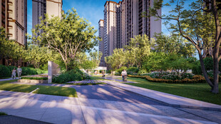 都市林荫下的静谧道路