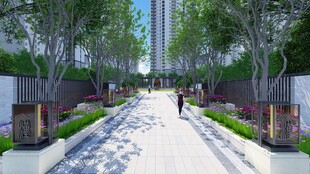 城市林荫步道景观