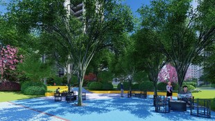 户外休闲庭院景观场景