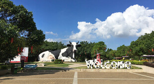公园中的雕塑与休闲场景