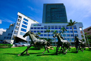 城市草坪上的骏马雕塑