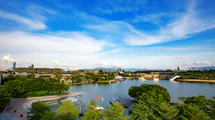 河畔美景 绿意盎然的风光