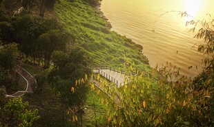 夕阳下的河畔绿意景观