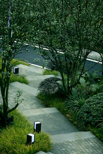 静谧园林小径景观