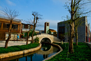 中式园林小桥流水景致