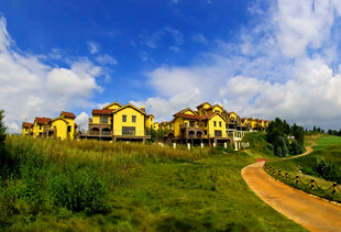 田园风光中的美丽住宅