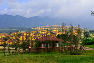 田园小屋旁的绚烂秋日风光