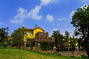 田园中的精美黄色别墅