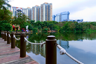 湖畔木栈道与城市风光
