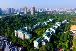 城市中的绿色住宅小区