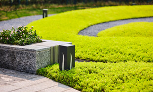 绿意盎然的园林景观角落