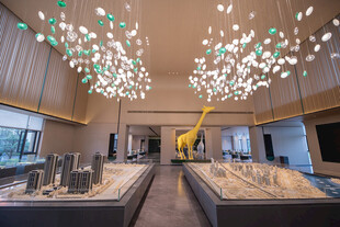 现代展厅内的精致展示场景