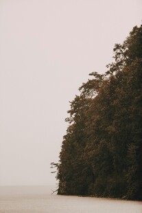 湖畔葱郁山林景色