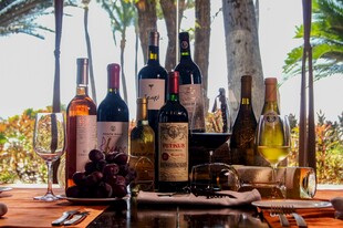 户外美酒展示与葡萄搭配