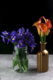 花瓶中的多彩马蹄莲
