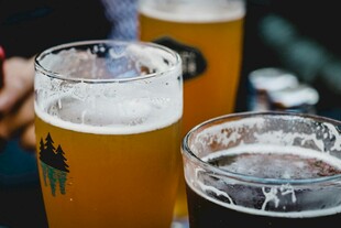 多样啤酒杯中的美味啤酒