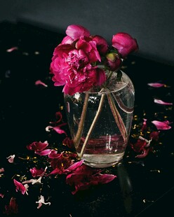 居家插花