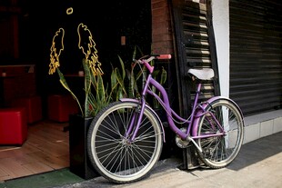紫色自行车停靠在绿植旁