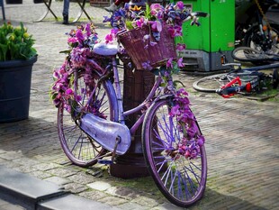 紫色花饰自行车