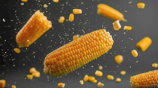 空中飞舞的新鲜玉米粒