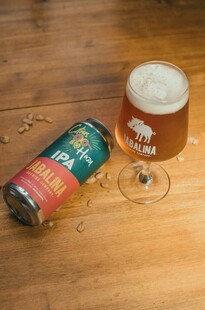 罐装啤酒与玻璃杯中的啤酒