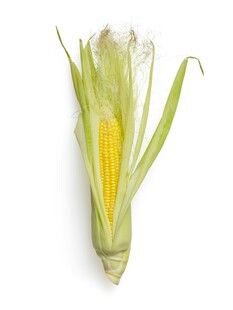 鲜嫩玉米棒