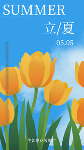 夏日郁金香与立夏景致