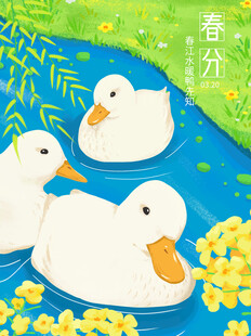 春分时节游春的可爱鸭子