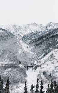 雪山森林壮丽自然景观