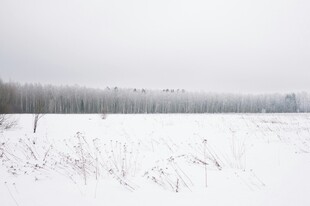 冬日雪地旷野景象