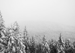 雪覆山林美景