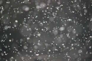 飘雪场景