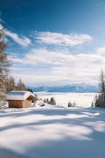 冬日雪景中的静谧户外风光