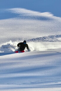 雪地中激情滑雪的身影