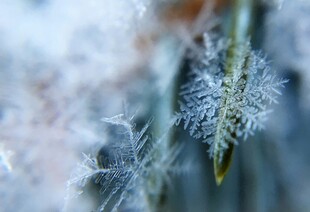 微距下的精致雪花晶体
