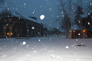 雪夜中的静谧户外景象