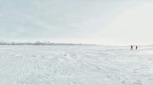 雪地漫步景象