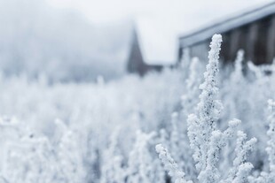冬日霜覆草地与屋景